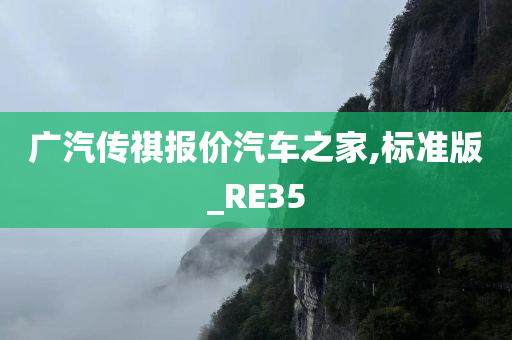 广汽传祺报价汽车之家,标准版_RE35