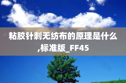 粘胶针刺无纺布的原理是什么,标准版_FF45