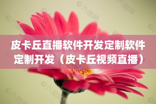 皮卡丘直播软件开发定制软件定制开发（皮卡丘视频直播）