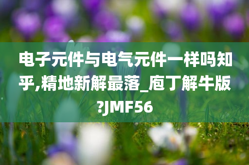 电子元件与电气元件一样吗知乎,精地新解最落_庖丁解牛版?JMF56