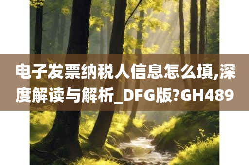 电子发票纳税人信息怎么填,深度解读与解析_DFG版?GH489