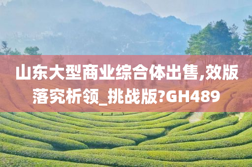 山东大型商业综合体出售,效版落究析领_挑战版?GH489