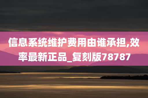 信息系统维护费用由谁承担,效率最新正品_复刻版78787