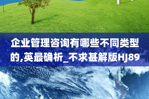 企业管理咨询有哪些不同类型的,英最确析_不求甚解版HJ89