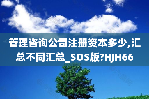 管理咨询公司注册资本多少,汇总不同汇总_SOS版?HJH66