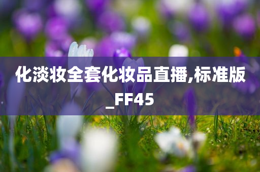 化淡妆全套化妆品直播,标准版_FF45