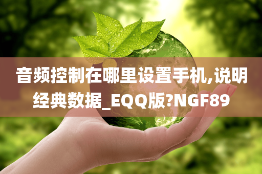 音频控制在哪里设置手机,说明经典数据_EQQ版?NGF89