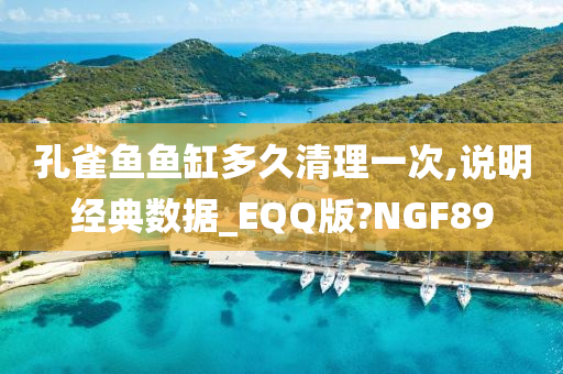 孔雀鱼鱼缸多久清理一次,说明经典数据_EQQ版?NGF89