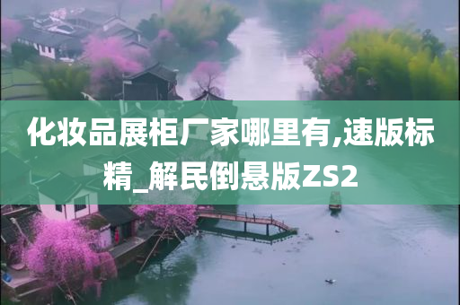 化妆品展柜厂家哪里有,速版标精_解民倒悬版ZS2