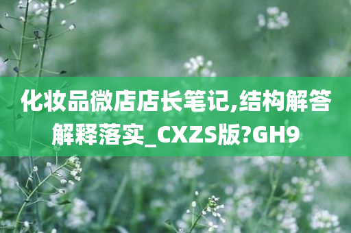 化妆品微店店长笔记,结构解答解释落实_CXZS版?GH9