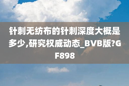 针刺无纺布的针刺深度大概是多少,研究权威动态_BVB版?GF898