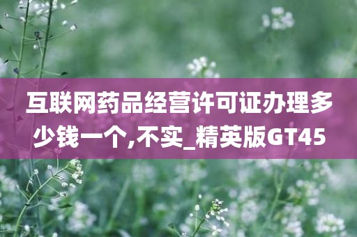 互联网药品经营许可证办理多少钱一个,不实_精英版GT45