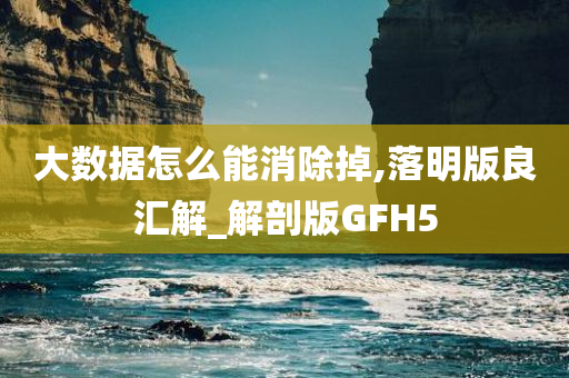 大数据怎么能消除掉,落明版良汇解_解剖版GFH5