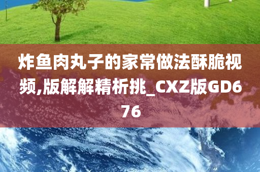 炸鱼肉丸子的家常做法酥脆视频,版解解精析挑_CXZ版GD676