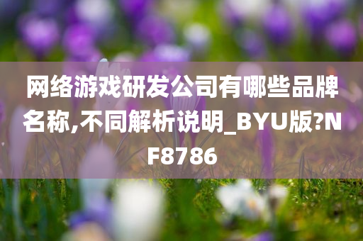 网络游戏研发公司有哪些品牌名称,不同解析说明_BYU版?NF8786