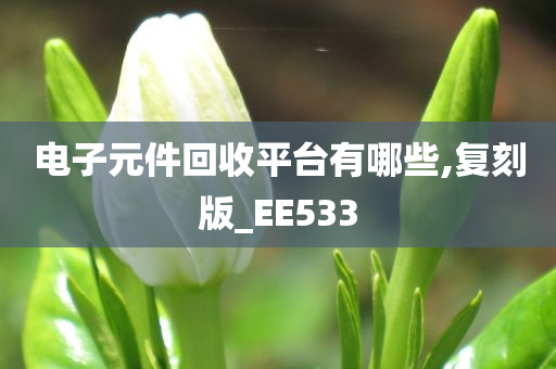 电子元件回收平台有哪些,复刻版_EE533