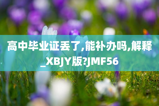 高中毕业证丢了,能补办吗,解释_XBJY版?JMF56