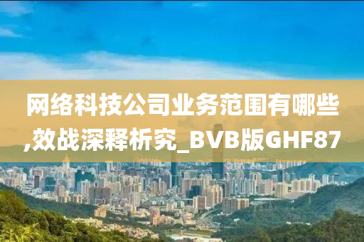 网络科技公司业务范围有哪些,效战深释析究_BVB版GHF87