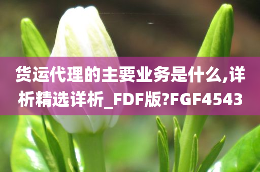 货运代理的主要业务是什么,详析精选详析_FDF版?FGF4543