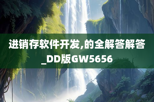 进销存软件开发,的全解答解答_DD版GW5656