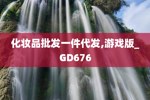 化妆品批发一件代发,游戏版_GD676