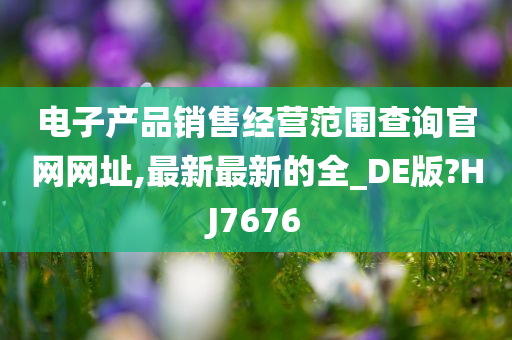 电子产品销售经营范围查询官网网址,最新最新的全_DE版?HJ7676