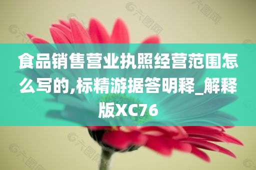 食品销售营业执照经营范围怎么写的,标精游据答明释_解释版XC76