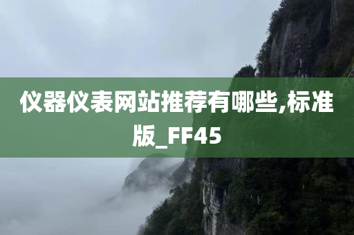 仪器仪表网站推荐有哪些,标准版_FF45