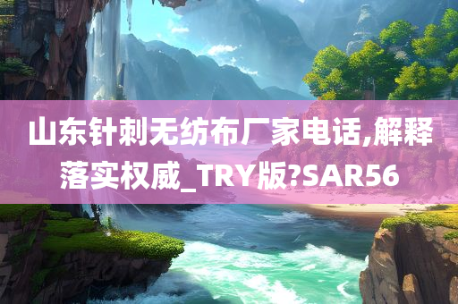 山东针刺无纺布厂家电话,解释落实权威_TRY版?SAR56