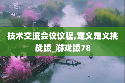 技术交流会议议程,定义定义挑战版_游戏版78