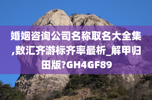 婚姻咨询公司名称取名大全集,数汇齐游标齐率最析_解甲归田版?GH4GF89