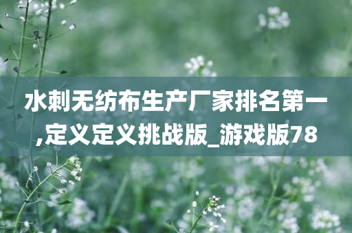 水刺无纺布生产厂家排名第一,定义定义挑战版_游戏版78