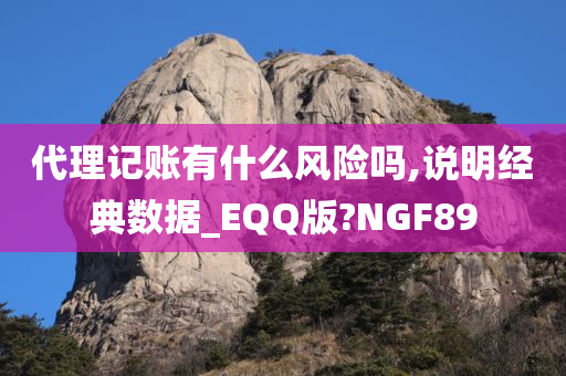 代理记账有什么风险吗,说明经典数据_EQQ版?NGF89