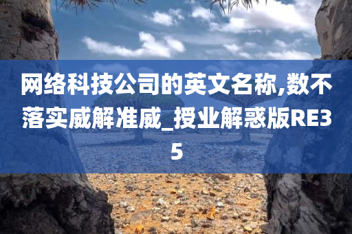 网络科技公司的英文名称,数不落实威解准威_授业解惑版RE35