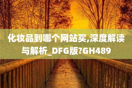 化妆品到哪个网站买,深度解读与解析_DFG版?GH489