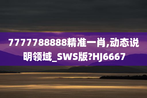 7777788888精准一肖,动态说明领域_SWS版?HJ6667