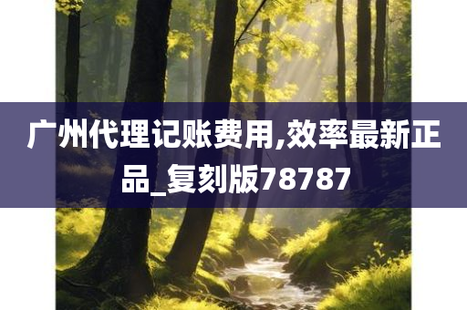 广州代理记账费用,效率最新正品_复刻版78787