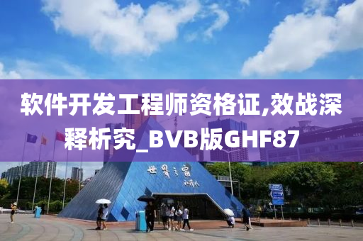 软件开发工程师资格证,效战深释析究_BVB版GHF87