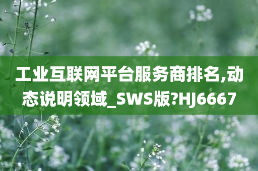 工业互联网平台服务商排名,动态说明领域_SWS版?HJ6667