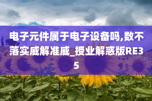 电子元件属于电子设备吗,数不落实威解准威_授业解惑版RE35