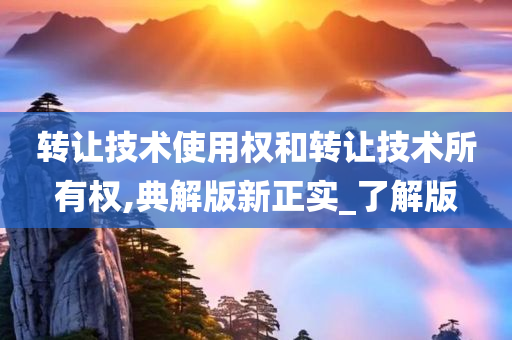 转让技术使用权和转让技术所有权,典解版新正实_了解版