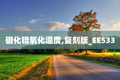 硼化锆氧化温度,复刻版_EE533