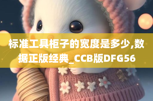 标准工具柜子的宽度是多少,数据正版经典_CCB版DFG56