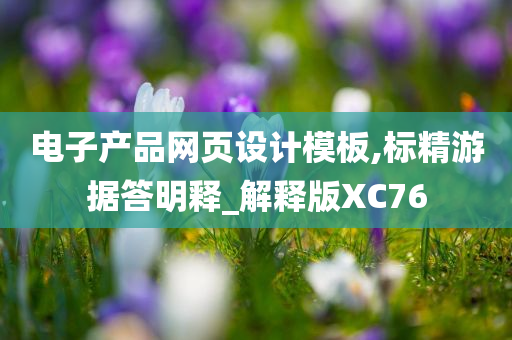 电子产品网页设计模板,标精游据答明释_解释版XC76