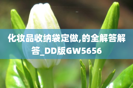 化妆品收纳袋定做,的全解答解答_DD版GW5656