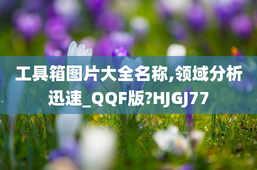 工具箱图片大全名称,领域分析迅速_QQF版?HJGJ77