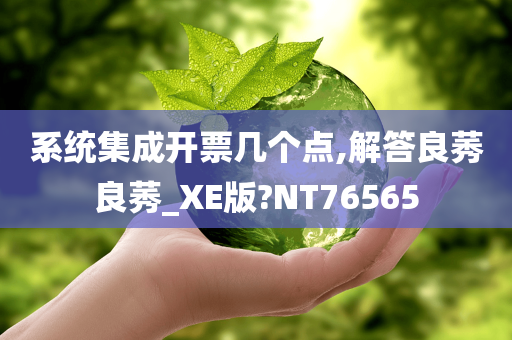 系统集成开票几个点,解答良莠良莠_XE版?NT76565