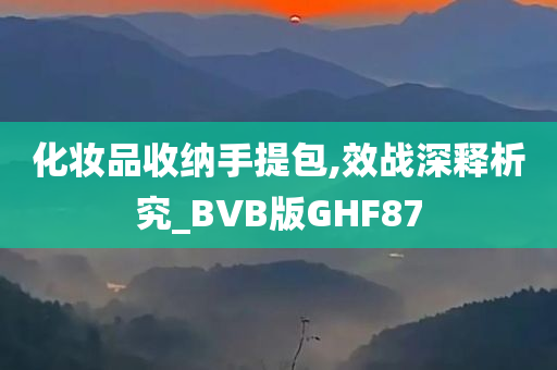 化妆品收纳手提包,效战深释析究_BVB版GHF87