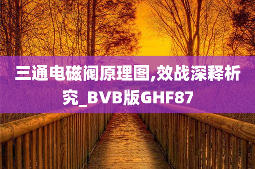 三通电磁阀原理图,效战深释析究_BVB版GHF87