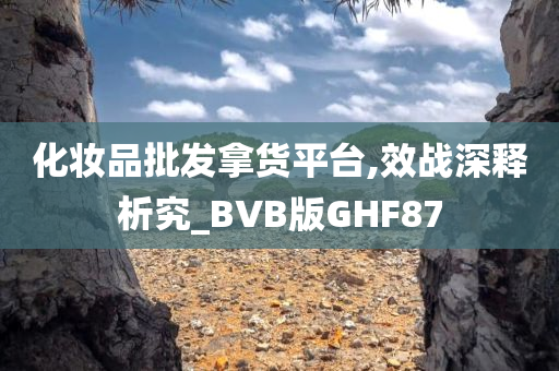 化妆品批发拿货平台,效战深释析究_BVB版GHF87